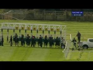 Video preview image for Catterick Bridge 18:10 - Oops A Daisy Florists Selling Stakes