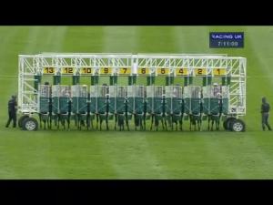Video preview image for Catterick Bridge 19:10 - Black Bull Inn Moulton Maiden Stakes