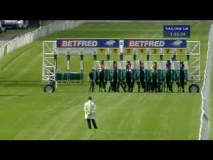 Video preview image for Newbury 13:35 - Betfred Supports Jack Berry House Handicap