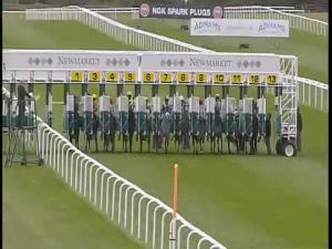 Video preview image for Newmarket 14:20 - Barry Silkman Double O Seven Grey Horse Handicap (For Grey Horses Only)