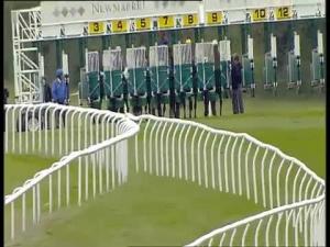 Video preview image for Newmarket 15:55 - Betfair Supports Racing Welfare Handicap