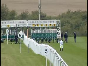 Video preview image for Newmarket 16:30 - Thank You Qatar Racing Marathon Runners' Handicap