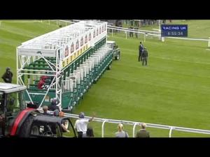 Video preview image for Chester 16:55 - Budweiser Handicap