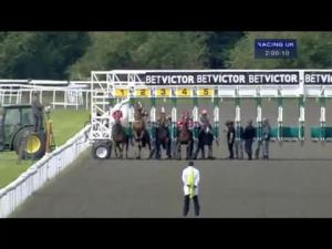 Video preview image for Kempton Park 14:00 - Download The BetVictor App Now Handicap