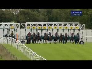 Video preview image for Thirsk 14:15 - British Stallion Studs EBF Maiden Stakes