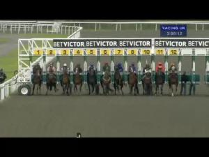 Video preview image for Kempton Park 15:00 - British Stallion Studs EBF Maiden Stakes