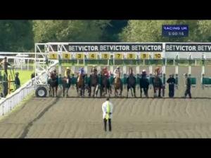 Video preview image for Kempton Park 17:00 - Download The BetVictor Instabet App Handicap