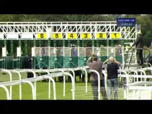 Video preview image for York 15:40 - Juddmonte International Stakes (British Champions Series) (Group 1)