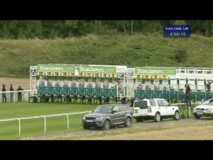 Video preview image for York 16:55 - stanjames.com Nursery
