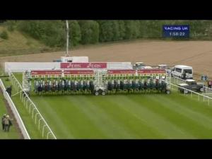 Video preview image for York 13:55 - Dbs Premier Yearling Stakes