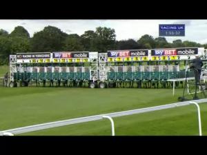Video preview image for York 13:55 - Sky Bet Transfer Fund Handicap