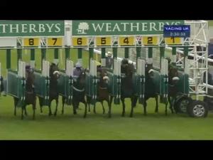 Video preview image for York 14:30 - Weatherbys Hamilton Insurance Lonsdale Cup (British Champions Series) (Group 2)
