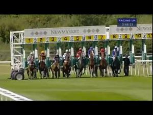 Video preview image for Newmarket 14:45 - Trm Gnf (Gut Nutrition Formula) Nursery