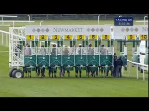 Video preview image for Newmarket 17:05 - Trm Invest In Calphormin Handicap
