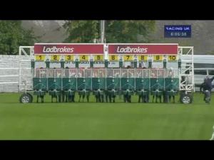 Video preview image for Hamilton Park 18:05 - Tough Construction 40th Anniversary Handicap