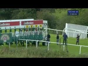 Video preview image for Hamilton Park 19:40 - Award Winning Scullion Law Open Maiden Stakes