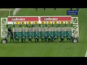 Video preview image for Hamilton Park 20:10 - Jordan Electrics Handicap