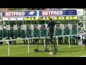 Video preview image for York 14:05 - Betfred Play Today's 2Million+ Scoop6 Strensall Stakes (Group 3)