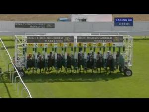 Video preview image for York 15:15 - Irish Thoroughbred Marketing Gimcrack Stakes (Group 2)
