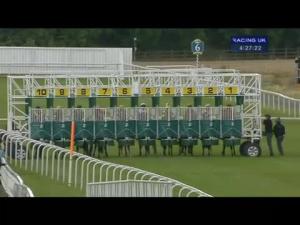 Video preview image for York 16:25 - Julia Graves Roses Stakes (Listed)