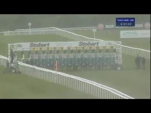 Video preview image for Newmarket 16:30 - Fly Thomson From London Southend Airport Handicap