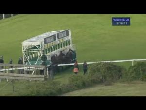 Video preview image for Goodwood 17:15 - Oldham Seals 50th Anniversary Handicap