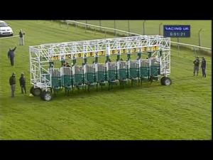 Video preview image for Redcar 18:00 - Jayne Preston Big Birthday Celebrations Maiden Auction Stakes