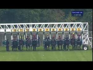Video preview image for Warwick 13:55 - Breeders Backing Racing EBF Maiden Stakes