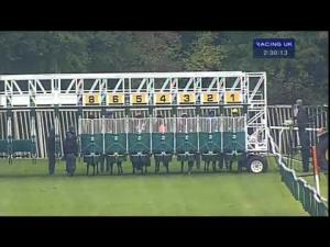 Video preview image for Warwick 14:30 - Happy Birthday Penny Blackie Fillies' Handicap
