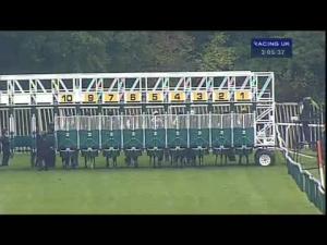 Video preview image for Warwick 15:05 - Cathie Matecki's Diamond Jubilee Handicap