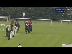 Video preview image for Huntingdon 16:25 - Only Events Company You'll Ever Need Handicap Hurdle