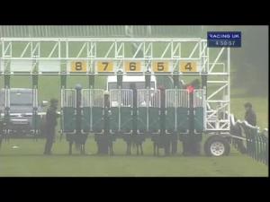 Video preview image for Warwick 16:50 - Leamington Food & Drink Festival Handicap