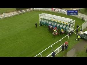 Video preview image for Epsom Downs 14:15 - Rosebery Manor Nursery