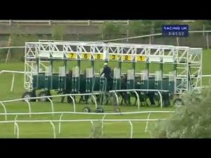 Video preview image for Catterick Bridge 14:40 - Racing Welfare Family Day Maiden Stakes