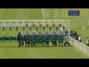 Video preview image for Catterick Bridge 16:15 - Racing Welfare Charity Camel Racing Today Handicap