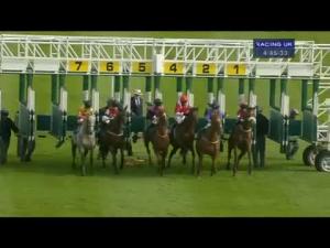 Video preview image for Catterick Bridge 16:45 - 2014 Catterick Twelve Furlong Series Handicap