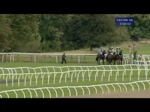Video preview image for Bangor-On-Dee 14:50 - Rippleffect Handicap Chase