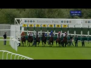Video preview image for Sandown Park 15:35 - Roa Owners Jackpot Handicap