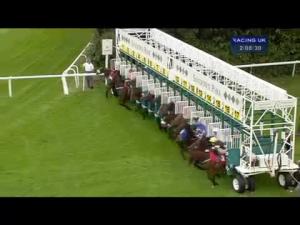 Video preview image for Sandown Park 14:05 - National Youth Music Theatre Charity Handicap
