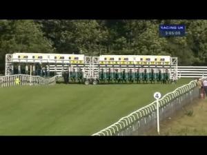Video preview image for Beverley 15:05 - Betfred Racing 'Like Us On Facebook' Handicap (Div 1)