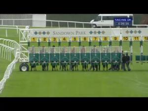 Video preview image for Sandown Park 16:25 - Nymt Student Fund Nursery