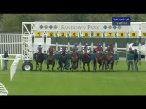 Video preview image for Sandown Park 17:00 - Thank You Chrissy Morum Handicap