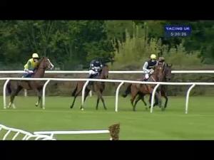 Video preview image for Huntingdon 17:20 - 32Red On The App Store Standard Open NH Flat Race