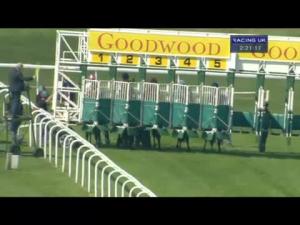 Video preview image for Goodwood 14:20 - EBF Stallions Maiden Fillies' Stakes