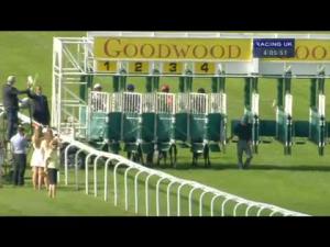 Video preview image for Goodwood 16:05 - ebfstallions.com Peter Willett Conditions Stakes