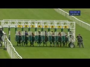 Video preview image for Hamilton Park 16:25 - Neilsland and Earnock Handicap