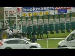 Video preview image for Carlisle 16:50 - Yesss Electrical Wholesaler Of The Year Handicap