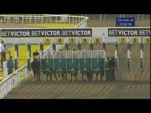 Video preview image for Kempton Park 18:50 - Kempton Live With Dizzee Rascal 06.09.14 Claiming Stakes