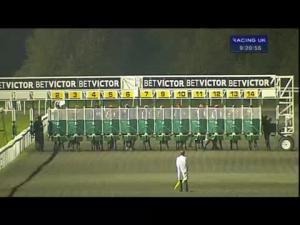 Video preview image for Kempton Park 21:20 - Download The BetVictor Instabet App Handicap
