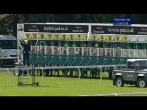 Video preview image for Haydock Park 14:00 - Betfred Jack Berry Mbe EBF Maiden Stakes